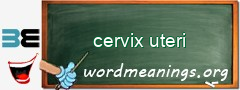 WordMeaning blackboard for cervix uteri